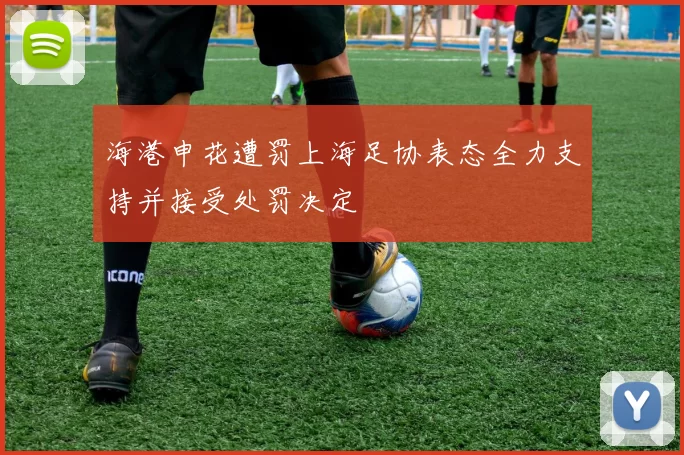 海港申花遭罚上海足协表态全力支持并接受处罚决定